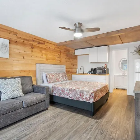 Studio Condo On Table Rock Lake W Access & Views-Free Tickets-